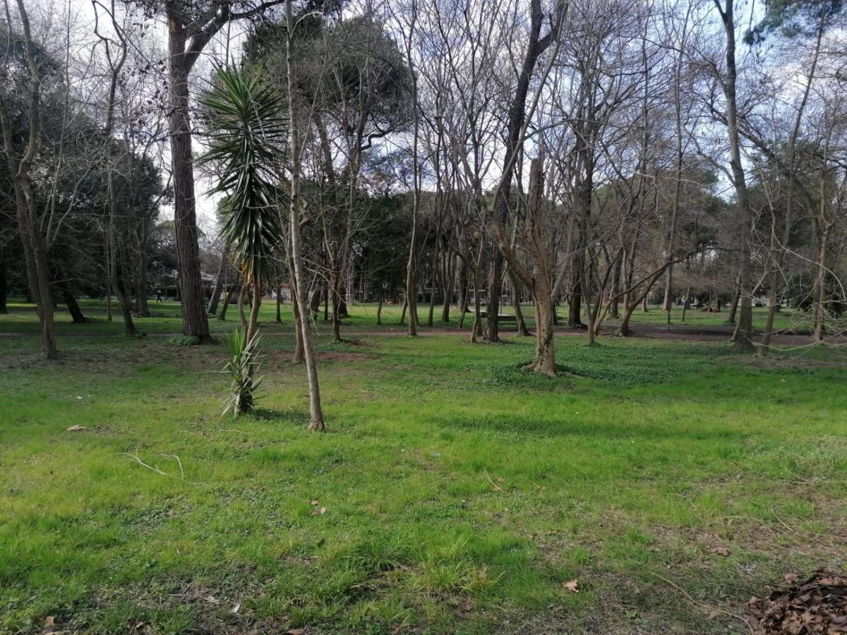 La Casina Giramondo Di Ele Viareggio Exterior foto